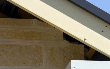 soffit repair Crickadarn